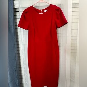 Calvin Klein Sheath Dress